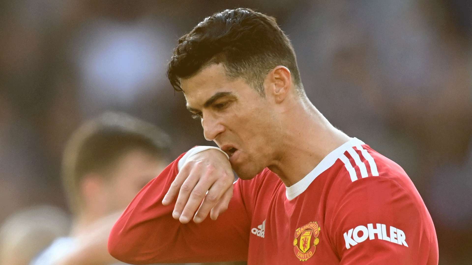 有因此退缩 有因此退缩